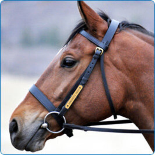 Bridle (1)