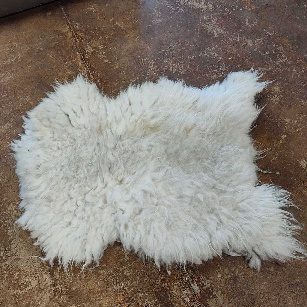 Pelt Navajo Churro Pelt