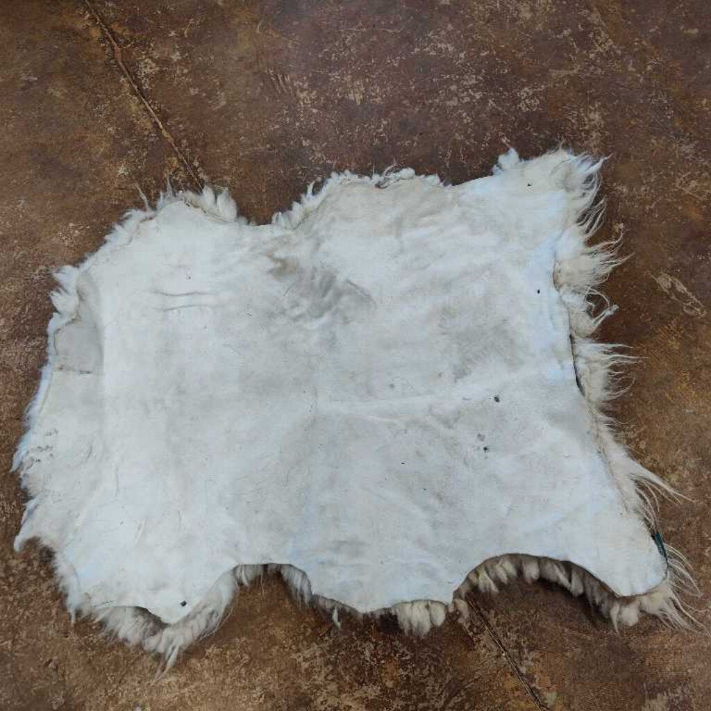 Pelt Navajo Churro Pelt