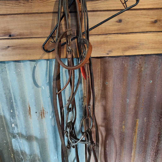 Bridle with bit and reins