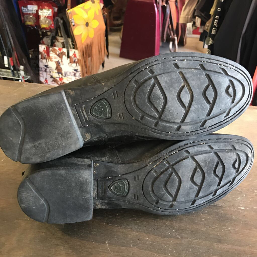 Ariat- Paddock Boots
