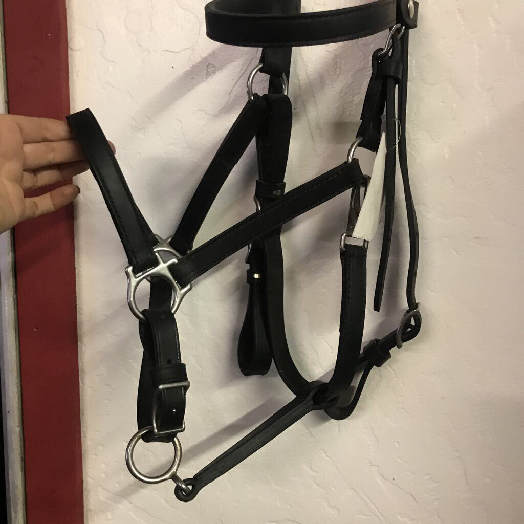 Bridle Western Leather Halter/bridle Combo