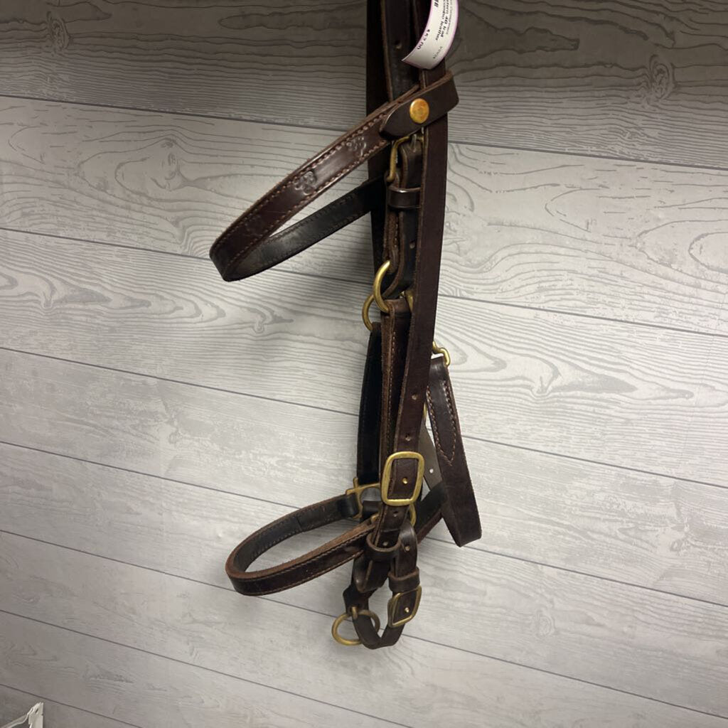 trail bridle-halter combo leather